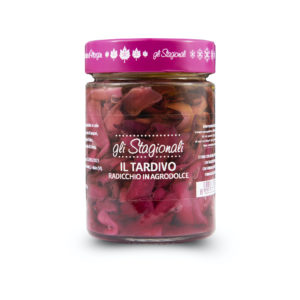 Radicchio Tardivo di Morgan