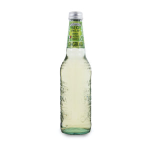 Ginger Ale Bio - Galvanina