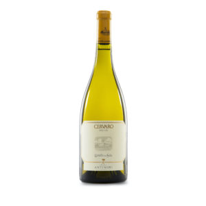 CERVARO DELLA SALA-ANTINORIBOCCA-BOCCA-CANTINA